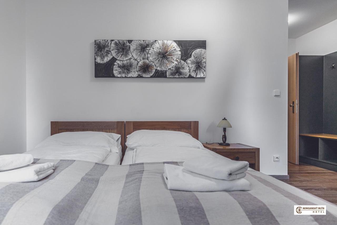Hotel Nemojansky Mlyn Nemojany 외부 사진