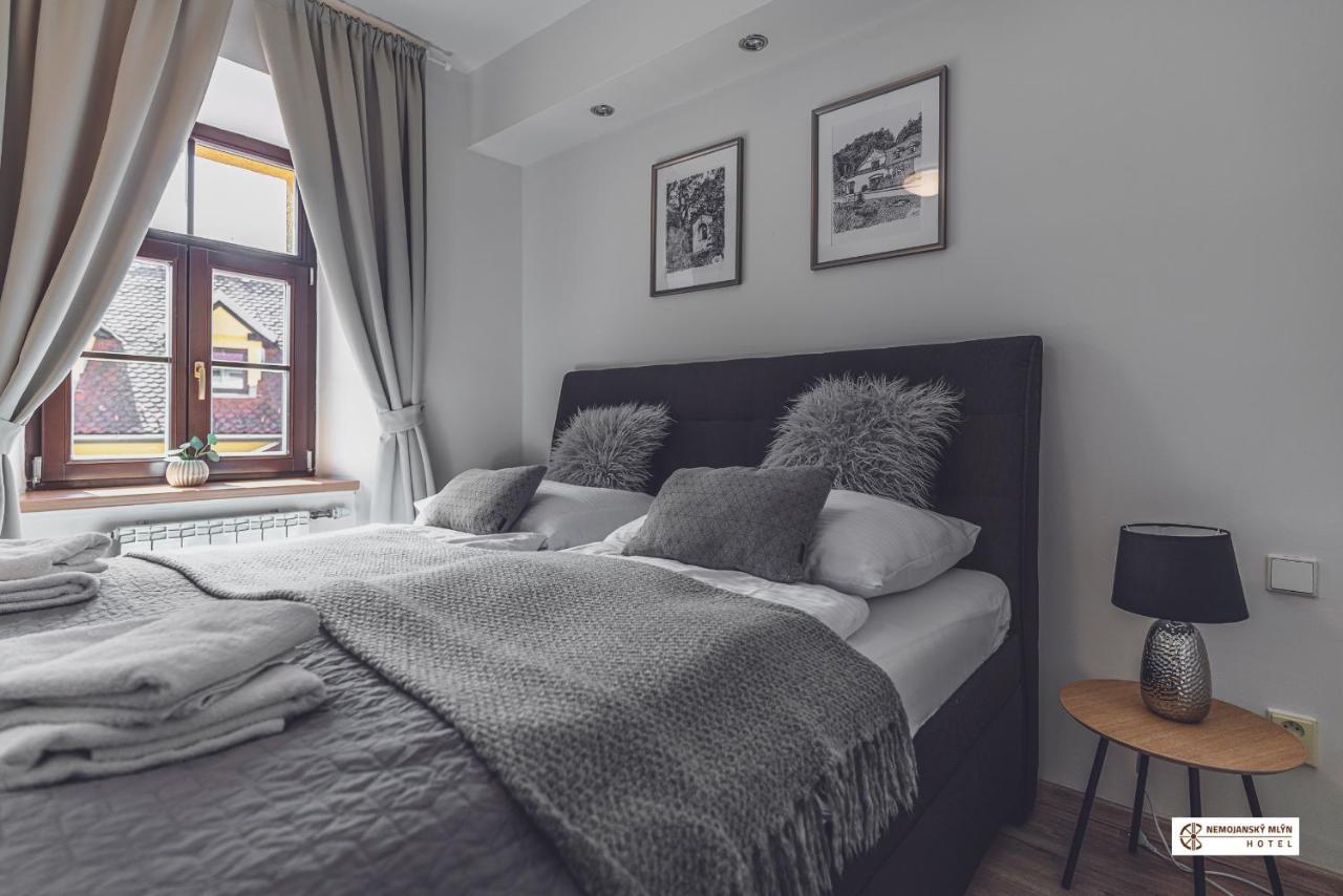 Hotel Nemojansky Mlyn Nemojany 외부 사진